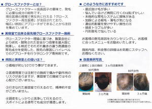 グロスファクター